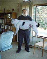 ������ ���� ����� ������� � ����� � ������ ��������, ��������� ����� � ������ � �����.